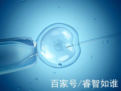 苏雨桐 副主任医师